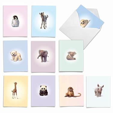 Imagem de The Best Card Company Conjunto de caixa de cartão de felicitações de animais em branco em branco com vida selvagem sortidos - 10 de cartões de notas + envelopes, para agradecimento, convites, mais - Zoo Babies M6726OCB