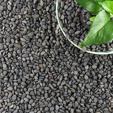 Imagem de CJGQ Pedras De Rio De 18 Libras, Seixos Para Plantas E Suculentas, Pedras Decorativas De Jardim Para Paisagismo Ao Ar Livre, Pedras Naturais Pequenas De Praia Mexicana, Pedras De Aquário, Cascalho Par