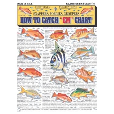 Imagem de Quadro de peixe de água salgada de pescadores nº 6