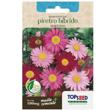 Imagem de SEMENTE FLOR PIRETRO SORTIDO TOPSEED