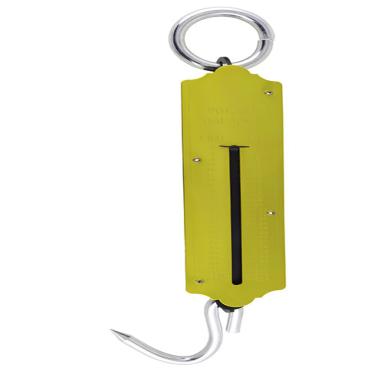 Imagem de Balança Peixeira 100Kg Western Home