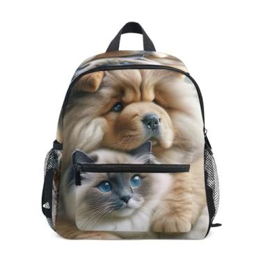 Imagem de GAIGEO Chow Chow Dog Cute Ragdoll Cat Backpacks for Kids, 10x4x12 In, Baby Boy Backpack Includes Water Bottle Pockets, Whistle Clip for Safety