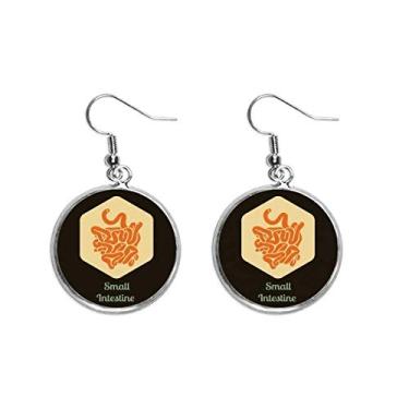 Imagem de Órgãos corporais pequenos brincos de prata pendentes para orelhas intestinais joia feminina