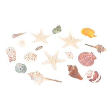 Imagem de Mipcase 1 Conjunto casca natural decorações do tanque de peixes ornamentos de conchas do mar decoração enfeites de aquário conchas de ostras para artesanato estrela do mar