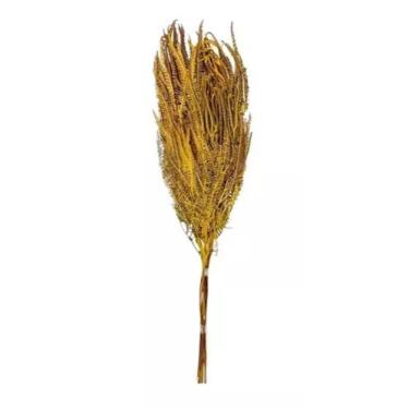 Imagem de Capim Buque Samambaia Do Campo Desidratada Arranjo Amarelo - FLORA FUL