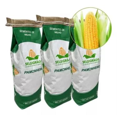 Imagem de Semente De Milho Verde Grãos Híbrido Pamonha Silagem 6kg