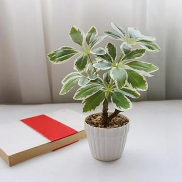 Imagem de Planta artificial em vaso – bonsai de vegetação sintética, decoração criativa para casa, planta falsa para sala de estar e mesa de escritório (verde2)