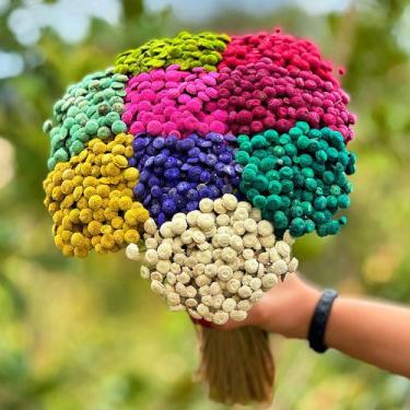 Imagem de Botão Bolinha -  Sempre Vivas - Coloridas