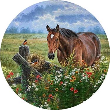 Imagem de Capa para estepe Ecosport Crossfox Cavalo CN825 - Lorben