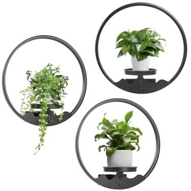 Imagem de Aunulahca Porta-retrato redondo para parede preto para pendurar na parede plantas de janela de metal para decoração de jardim interno e externo, pacote com 3