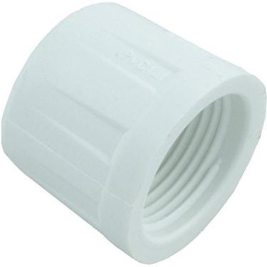 Imagem de Boné de PVC FNPT de 1,9 cm Sched 40