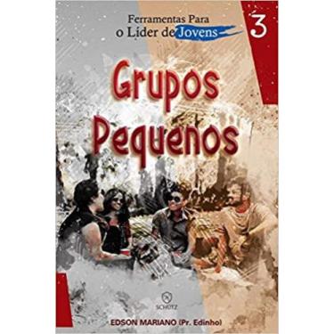 Imagem de Ferramentas Para o Líder de Jovens: Grupos Pequenos (Volume 3) - SARAI
