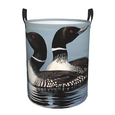 Imagem de Loon Birds1 cesto de roupa suja dobrável à prova d'água cesto de armazenamento de roupas com alças pano oxford organizador de brinquedos cesta para banheiro, lavanderia, quarto, médio
