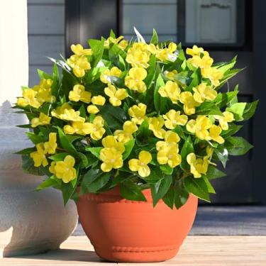 Imagem de Waipfaru 5 peças de flores artificiais para ambientes externos, flores artificiais resistentes a UV para plantadores ao ar livre, buquê de impatiens de seda, plantas artificiais de primavera amarela