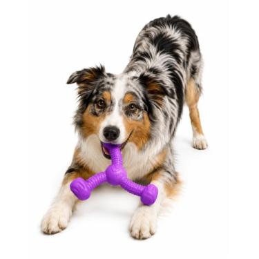 Imagem de Brinquedo Mordedor Rokka Grande Roxo Pet Cachorro Stark Pet - Murano