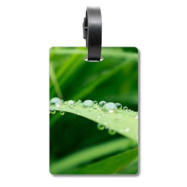 Imagem de Green Leaf Plant Picture Nature Suitcase Bag Tag Luggage Card Scutcheon Label
