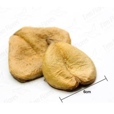 Imagem de Sementes Cascas Diversas para Decoração Flores Seca Variadas - Pense F