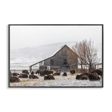 Imagem de Stupell Industries "Colorado Buffalo Snowy Farm", arte giclée emoldurada, preta, 45,7 x 30,5 cm