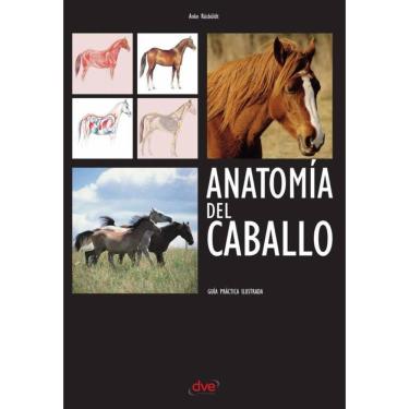 Imagem de Anatomía del caballo - Espanhol