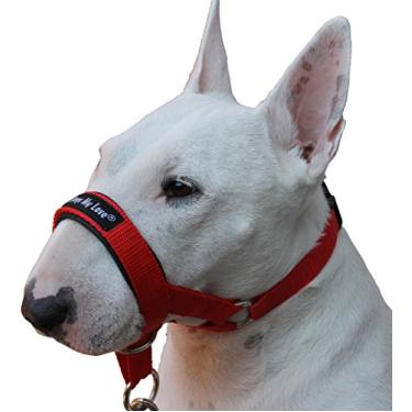 Imagem de Coleira para cabeça de cachorro frente única vermelha 6 tamanhos (M: 21-26 cm focinho)