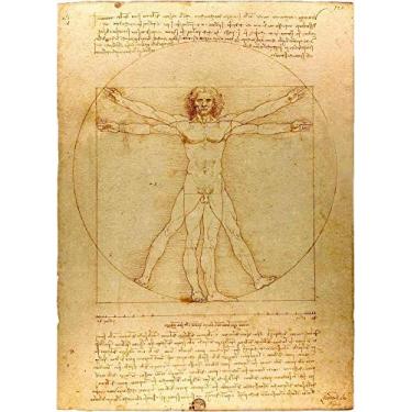 Imagem de O Homem Vitruviano de Leonardo da Vinci - 30x41 - Tela Canvas Para Quadro