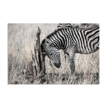 Imagem de Imagens de animais em preto e branco para decoração de parede Imagem de animal zebra com cabeça para baixo pensando imagem de cavalo em tela pintura de arte de parede zebra decoração de parede para