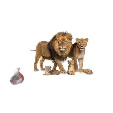 Imagem de Papel De Parede Animais Leão Família Filhotes 3,5M Anm523 - Você Decor