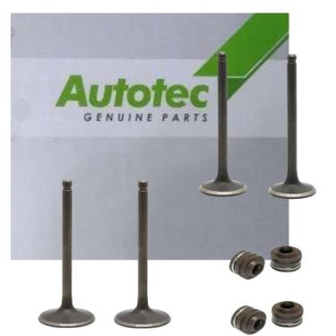 Imagem de Kit Valvulas Honda Twister Tornado 250 CB 300 ABS XRE - MaxxMotorsLoja