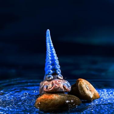 Imagem de Dildo em Silicone Tentáculos Octus Monster D (P)