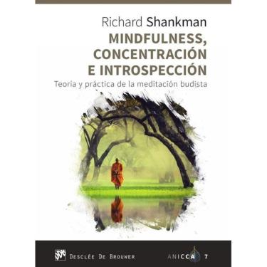 Imagem de Mindfulness, concentración e introspección. Teoría y práctica de la meditación budista - Espanhol