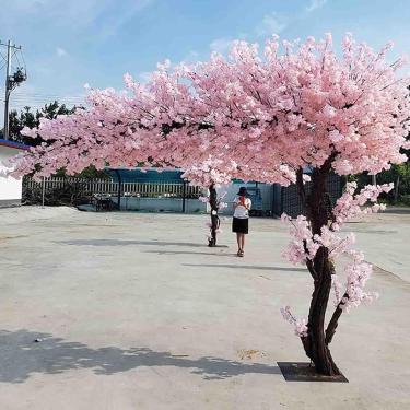 Imagem de Cherry Blossom Tree Arch Indoor Outdoor Home Office - Árvores de flor de cerejeira artificial para uma decoração e ambiae, 2.5x2.5m