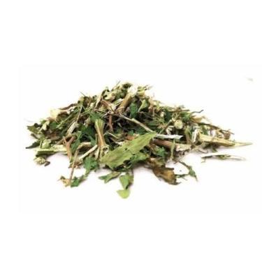 Imagem de Erva De Santa Maria/Menstruz - PREMIUM - 50 gr. - - NoBrand