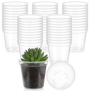 Imagem de Yaomiao Mini vaso de plástico para berçário, mudas para iniciantes com orifícios de drenagem para transplante de plantas suculentas de jardim interno e externo (12 cm, transparente, 30 peças)