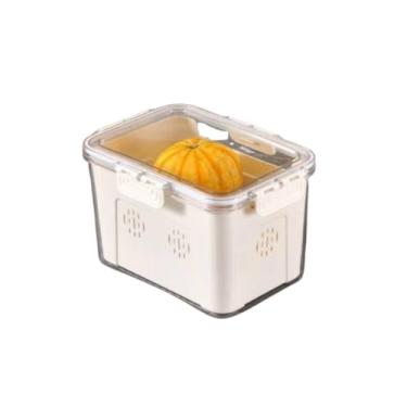 Imagem de Cesto Organizador com Tampa para Geladeira, Plástico Transparente e Branco, 23,5x16,5x14cm, com Cesta Divisória, 570g