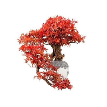 Imagem de Ornamentos de plantas falsas Feng Shui, vegetação, paisagismo, árvore falsa, bonsai, mesa, simulação de alta qualidade, decoração de árvore
