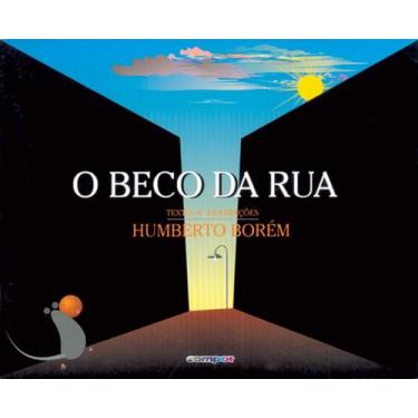 Imagem de Livro - O beco da rua