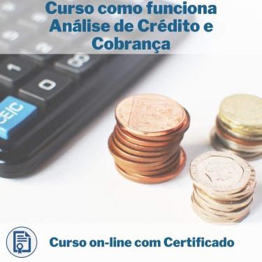 Imagem de Curso Online em videoaula de como funciona Análise de Crédito e Cobrança com Certificado + 2 brindes
