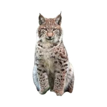 Imagem de Pintura Em Tela Sem Moldura Com Tema De Animal Lince Para Decoração De