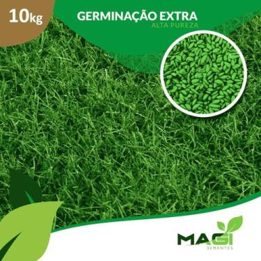Imagem de Sementes de Grama Bermudas - Cynodon Dactylon - Magi Sementes, 10 kg