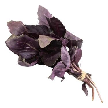 Imagem de Sementes De Manjericão Roxo Tradicional 100mg - Topseed
