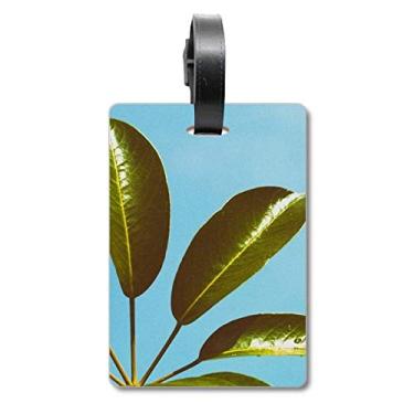 Imagem de Blue Sky Leaf Plant Picture Nature Suitcase Bag Tag Luggage Card Hanging Scutcheon Label