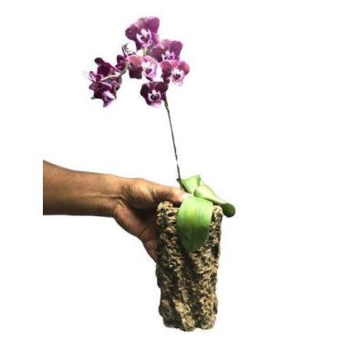 Imagem de 4 Pçs Tronquinho para plantar Orquideas e decorar ambientes - Tem Flor