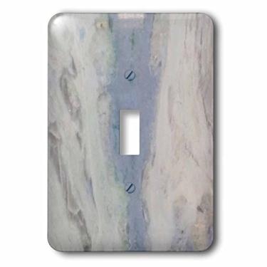 Imagem de 3dRose LSP_252633_1 Interruptor único de granito cinza e azul, cinza