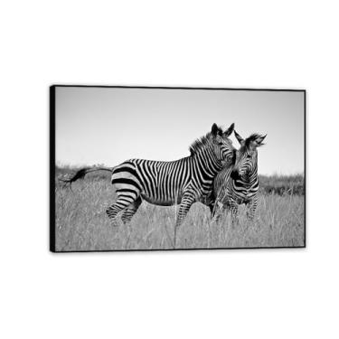 Imagem de SDYJ6GSW Imagens de animais em preto e branco para decoração de parede, pôster de duas zebras, savana africana, impressão de cavalo, pintura de arte de parede, pintura de zebra, decoração de parede