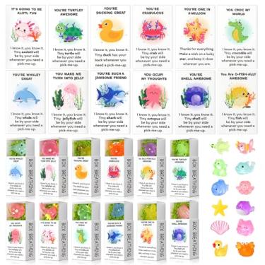 Imagem de Cinnvoice 60 conjuntos de presentes de agradecimento de funcionários a granel mini resina animais marinhos caixa de respiração lembrancinha de festa com musgo falso sedoso apoio emocional positivo