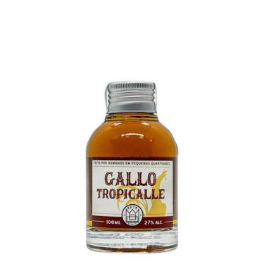 Imagem de Miniatura Drink Gallo Tropicalle APTK Spirits 100ml