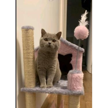 Imagem de Arranhador de gato casa  - Tundera Pet, rosa