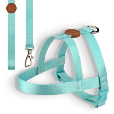 Imagem de Toh Conjunto Peitoral Tradicional E Guia Maresia Gg