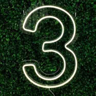 Imagem de Painel Led Neon Número Luminoso 0 ao 9 Decoração Festa 60cm - letreiro