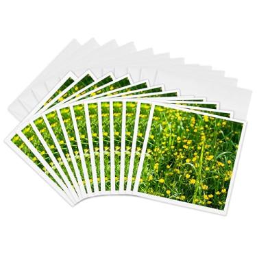 Imagem de 3dRose Cartões de felicitações - Grama verde e flores de boleto amarelo Cena floral colorida - 15 x 15 cm, conjunto de 12 (gc_287354_2)